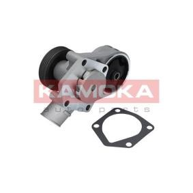 Osta Vesipumppu KAMOKA:llä T0258 edullisesti hintaan 43,97 €