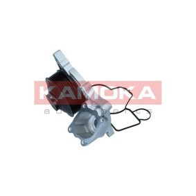 Osta Vesipumppu KAMOKA:llä T0270 edullisesti hintaan 45,23 €