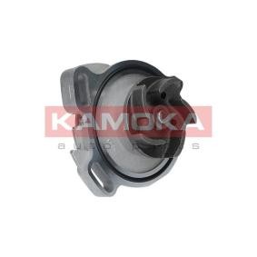 Achetez des Pompe à eau KAMOKA T0275 à prix pour 41,01 €