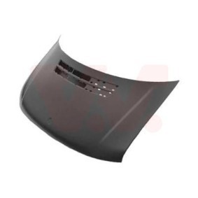 Motorhaube 3078660