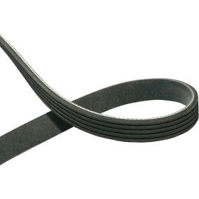 Keilrippenriemen von KAVO PARTS
