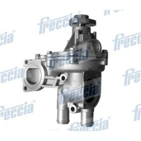 AUDI Wasserpumpe von FRECCIA
