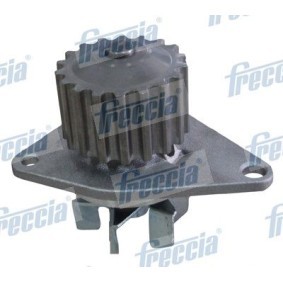 Wasserpumpe von FRECCIA