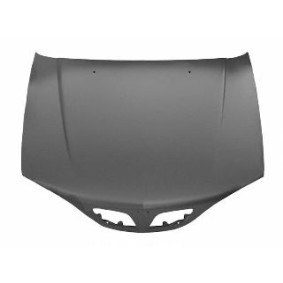 Motorhaube 3349660