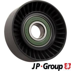 Achetez des Poulie renvoi / transmission, courroie trapézoïdale à nervures de chez JP GROUP en ligne pour Strada Pick-up (178, 278) à prix modérés