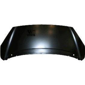 Motorhaube 4002660
