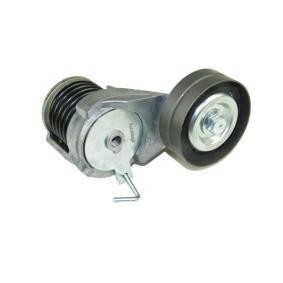Compre Tensor, correia trapezoidal estriada da AUTOMEGA 210155810 a um preço baixo por 52,17 €