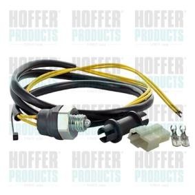 Comprar Interruptor, piloto de marcha atrás de HOFFER 3600120 a bajo precio de 26,86 €