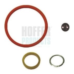 Acquista Kit riparazione, Gruppo pompa-iniettori da HOFFER 8029547 a buon mercato per soli 10,48 €