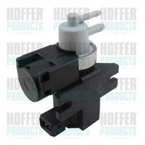 Druckwandler, Turbolader von HOFFER