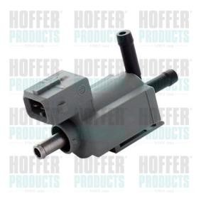 Compre Conversor de pressão, turbocompressor da HOFFER 8029770 a um preço baixo por 38,34 €