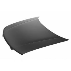 Motorhaube 5215660