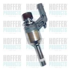 Achetez des Injecteur HOFFER H75112801 à prix pour 303,98 €