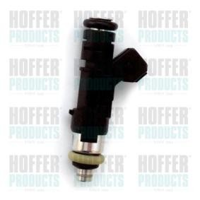Acquista Iniettore da HOFFER H75114200 a buon mercato per soli 171,32 €