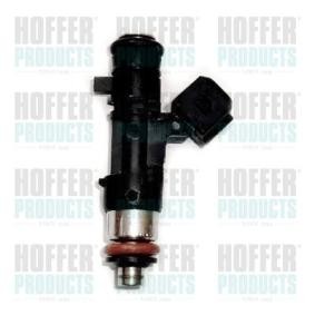 Achetez des Injecteur HOFFER H75114329 à prix pour 138,17 €