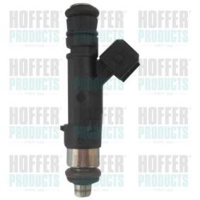 Einspritzventil von HOFFER H75117107