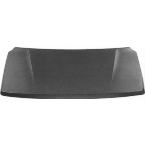 Motorhaube 5245660