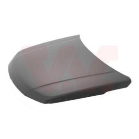 Motorhaube 5250660