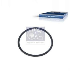 Dichtung, Thermostat 4.20723 PORSCHE CAYENNE von DT Spare Parts