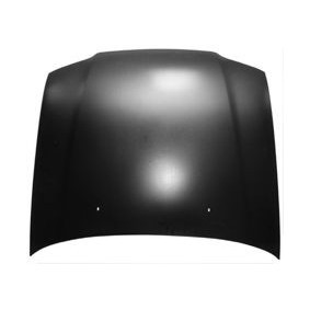 Motorhaube 5328660