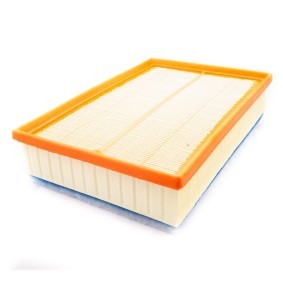 Luftfilter 30011-LF-PCS-MS