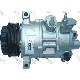 Acquista Compressore aria condizionata da TEAMEC 8629838 a buon mercato per soli 314,38 €