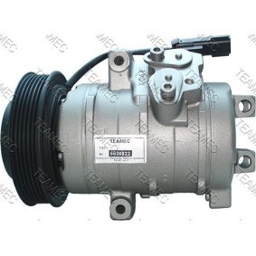Acquista Compressore aria condizionata da TEAMEC 8638822 a buon mercato per soli 588,96 €