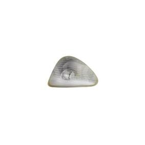 Blinker 6203170