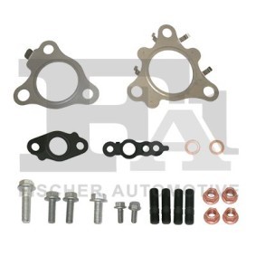 Compre Kit de montagem, turbocompressor da FA1 KT890050 a um preço baixo por 20,65 €