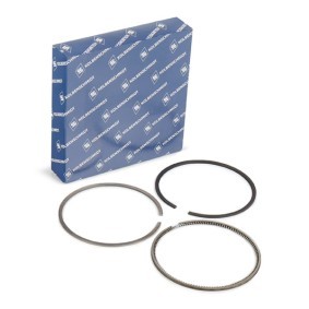 Acquista Kit fasce elastiche da KOLBENSCHMIDT 800110410025 a buon mercato per soli 23,03 €