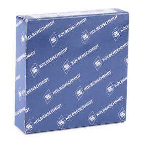 Achetez des Jeu de segments de pistons KOLBENSCHMIDT 800113810000 à prix pour 25,85 €