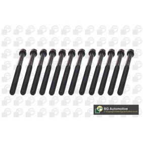 Zylinderkopfschraubensatz BK5915 für MINI