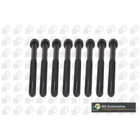 Zylinderkopfschraubensatz BK5916 MINI COUNTRYMAN von BGA
