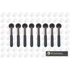 Zylinderkopfschraubensatz BK5930 MINI COUNTRYMAN von BGA