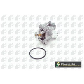 Achetez des Thermostat d'eau BGA CT2201 à prix pour 30,53 €