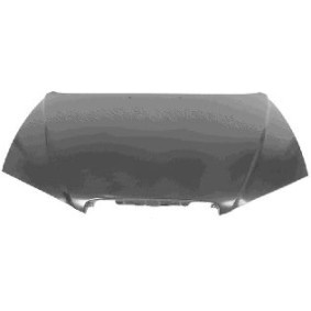 Motorhaube 8218660
