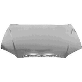 Motorhaube 8219660