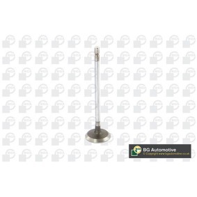 Comprar Válvula de admisión de BGA V123002 a bajo precio de 6,46 €