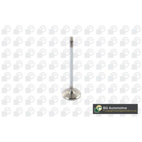 Comprar Válvula de admisión de BGA V123821 a bajo precio de 10,67 €