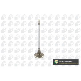 Comprar Válvula de admisión de BGA V149481 a bajo precio de 7,33 €