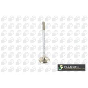 Auslaßventil für MINI von BGA