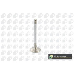 Comprar Válvula de admisión de BGA V164990 a bajo precio de 7,85 €