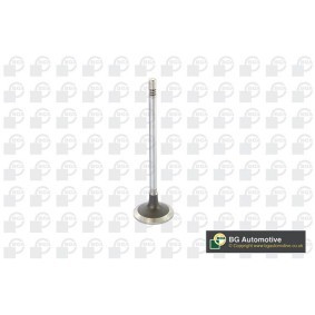 Comprar Válvula de admisión de BGA V222531 a bajo precio de 17,91 €
