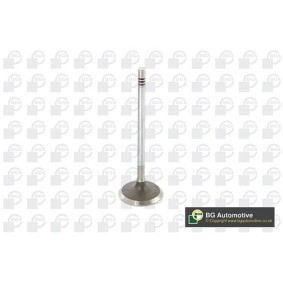 Achetez des Soupape d'admission BGA V229666 à prix pour 7,42 €