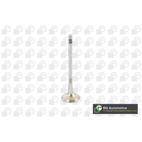 Comprar Válvula de escape de BGA V229667 a bajo precio de 8,21 €