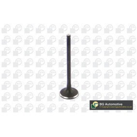 Comprar Válvula de admisión de BGA V362214 a bajo precio de 11,39 €