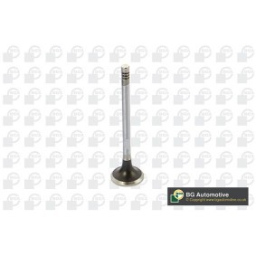 Comprar Válvula de escape de BGA V424832 a bajo precio de 9,37 €