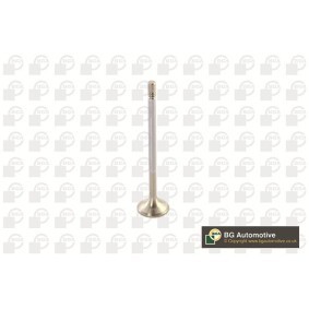 Compre Válvula de drenagem da BGA V560010 a um preço baixo por 9,36 €