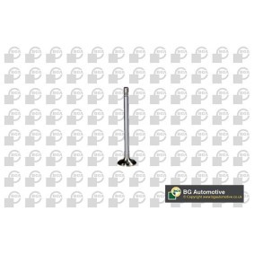 Comprar Válvula de escape de BGA V560012 a bajo precio de 8,35 €