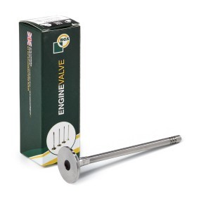Einlaßventil V591500